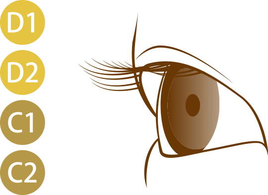 カールのある自まつげ