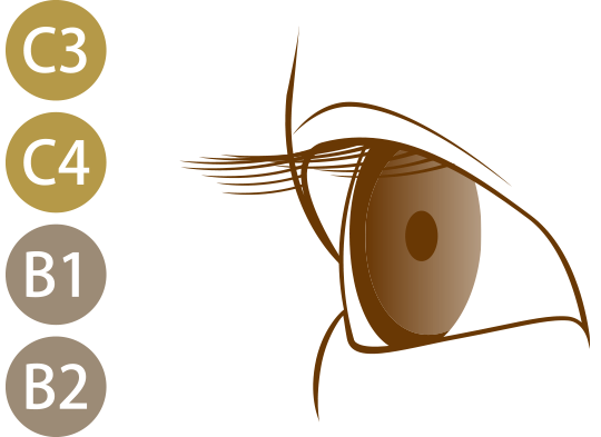 直毛の自まつげ